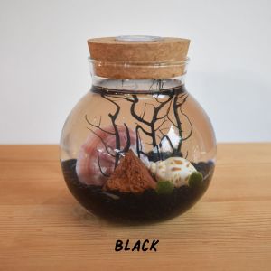 DIY KIT SMALL THEMED Volcanic Shrimp Marimo Moss Aquarium [craft within 2 days of receiving] (inc Car Delivery)