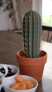 Cactus Toothpick Holder Cactus Toothpick Dispenser 3D Printed Cactus Shape Toothpick Holder Dispenser Funny Decor piece for Home/Office/Desktop Gift for friends