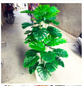 Cây trầu bà lá xẻ giả - Tặng chậu xốp cỏ hoặc rêu trải bề mặt - Cây giả hoa lụa trang trí nhà cửa