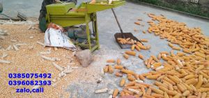 Máy tách hạt ngô năng suất 1 tấn/giờ tách sạch không hây vỡ nát hạt ngô và lõi