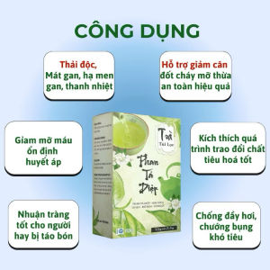 Trà thải độc ruột Phan Tả Diệp Hộp 25 Túi Lọc Hỗ Trợ Giảm Cân Nhuận Tràng Thanh Lọc Cơ Thể