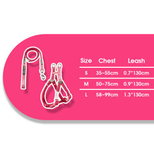 UNMIXED Pet Harness Leash Set Zinc Double D-Rings Quick Release Buckle Adjustable Strap 360° Swivel Comfort Grip