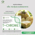 💥ราคาพิเศษ💥 T-Chrome ผลิตภัณฑ์อาหารเสริมที-โครม เร่งกระบวนการเปลี่ยนแปลงพลังงาน เผาผลาญ ลดความความอยากอาหาร ตื่นตัว หลับง่าย (15 แคปซูล). 