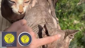 Yegbong Salep Pelindung Hewan Peliharaan Bahan-bahan ringan menenangkan dan merawat kulit hewan peliharaan cocok untuk penggunaan sehari-hari oleh kucing dan anjing.