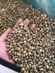 Cafe Culi nguyên chất Ban Mê Thuột 500g