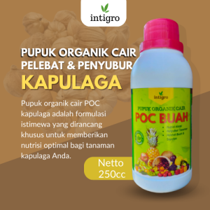 Obat Penyubur Buah Kapulaga / Pupuk Cair Pelebat Buah Kapulaga / Obat Pelebat Buah Kapulaga Cair