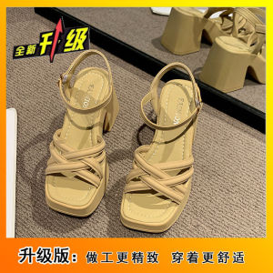 [Free Shipping] New Summer Fashion Casual WomenS Shoes Waterproof Platform Wedge Heels Durable Chunky-Heeled Roman Sandals For Women