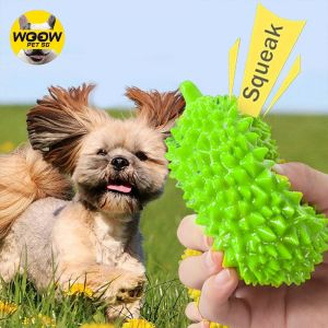 [SG] Sound Dog Durian Toy  Puppy Chew  Durable Toys for Dog Teeth Cleaning Interactive Toys