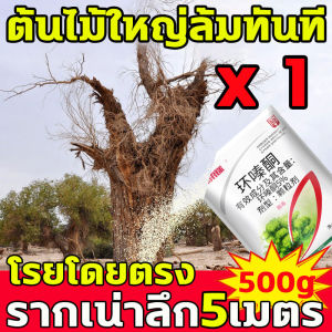 ฆ่าไม้ไผ่ทุกชนิดได้ง่ายๆ ยาฆ่าตอไม้ 500G ยาฆ่าต้นไผ่ บอกลาการตัดต้นไม้ด้วยตนเอง ไม่เป็นอันตรายต่อดิน สารกําจัดกอไผ่