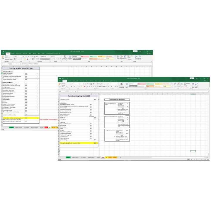 PROFIT AND LOSS ACCOUNTING TEMPLATE | Lazada