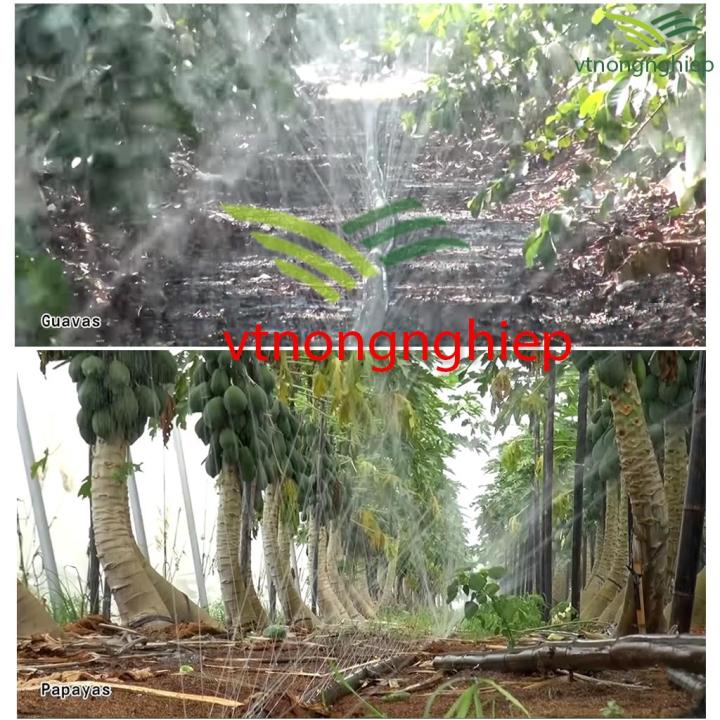 %E1%BB%90ng%20t%C6%B0%E1%BB%9Bi%20phun%20m%C6%B0a%20Sanfu%20phi%2027mm,%20%E1%BB%91ng%20t%C6%B0%E1%BB%9Bi,%20%20%C4%91%E1%BB%A5c%20l%E1%BB%97%20s%E1%BA%B5n,%20phun%20tia%20qua%20l%E1%BB%97%20phun%20m%C6%B0a%20nh%E1%BB%8F%20-%20Image%205