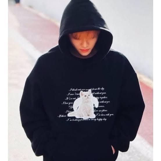 Jaket Hoodie NCT Jaemin Angel Cat DTF Print Lazada Indonesia