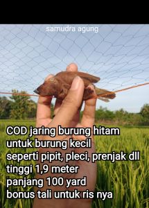 cuci gudang jaring burung bonus tali untuk perangkap burung pikat burung kecil seperti pipitpleci