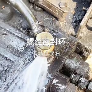 Aluminum/Copper Oil Pans Drain Seal Drainage Bolt Pad Superior Sealing N0138157 Optimally Sealing Corrosion Resistant