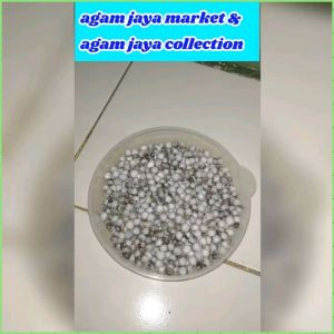 Biji jali jali berat 500 gram