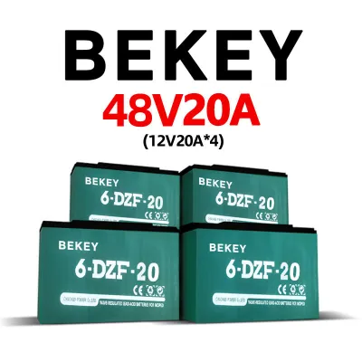 6-DZF-20a 48V-20AHELECTRIC BIKE BATTERY E-bike Electric Scooter Mobility Scooter Golf Buggy