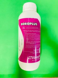 Boron Isi 1 liter BOROPLUS dari Valagro