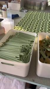 แปรงขวดซิลิโคน แปรงทำความสะอาดขวดนมแบบพกพา ด้ามตรงอเนกประสงค์ ชุดแปรงทำความสะอาดขวดนม [ จัดส่งฟรี ]