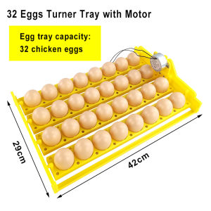 32 Eggs Turner Tray with Auto Turn Motor 220V Automatic Egg Tray for incubator Accessories