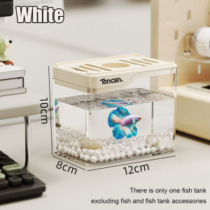 Transparent Mini Fish Tank Desktop Aquarium With USB Light Creative Landscape Ornaments Office Desk Decor
