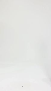 2026 Hot Sale [ Shipped from China ] Juyitang Plus Size Yoga Wear High Elasticity Peach Solid Color Shapewear Top Womens Running Sports Fitness Jacket Summer B3