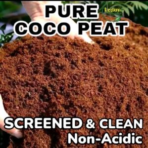 1 Pack Quality Screen Pure Cocopeat Organic Fertilizer For Plants Perfect For Seedling