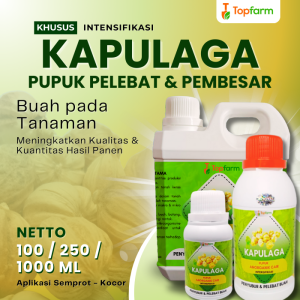 Pupuk Buah Super Lebat Kapulaga / Pupuk Pelebat Buah Kapulaga / Pupuk Buah Kapulaga / Pupuk Tanaman Buah Kapulaga / Pupuk Cair Pelebat Buah Kapulaga