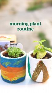 Grow Kit BASIL • Plant Kit • Paint a pot • Seed Starting Kit • FarmJoe