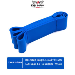 Dây Tập Kháng Lực Powerband Co GiãnĐàn Hồi Tập Toàn Thân Đa Năng Chính Hãng Đại Nam Sport (Hàng Xịn)