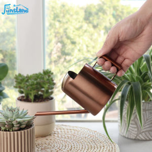 FunsLane Plant Watering Can 300ML Stainless Steel House Plants Sprinkling Kettle Long Thin Spout Effortless Watering Can