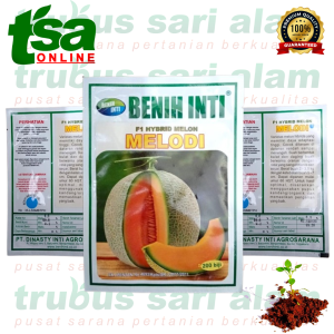 MELODI F1 isi 200 biji - Benih bibit buah melon oren orange hibrida super manis MELODY BENIH INTI