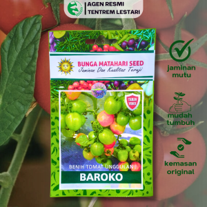 Benih Unggul Tomat BAROKO 200 Biji Cap Bunga Matahari Produksi Tinggi & Tahan Virus