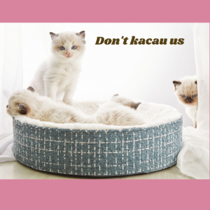 Pet Bed High Quality Luxury Memory Foam