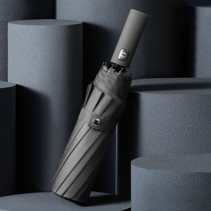 Simple Mens Umbrella Automatic 12 Ribs Windproof Golf Umbrella Strong Outdoor Big Rain Umbrellas