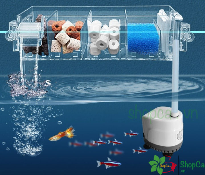 Lọc tràn trên có kèm máy bơm Jeneca trong suốt đẹp cho hồ cá cảnh ...