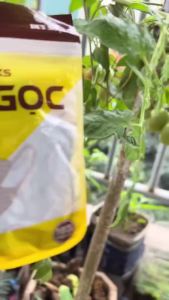 SỈ SIÊU RẺ 100 CHIẾC 5D DUY NGỌC CHỐNG BỤI MỊN CHỐNG GIỌT BẮN ÊM ÁI CẢ NGÀY