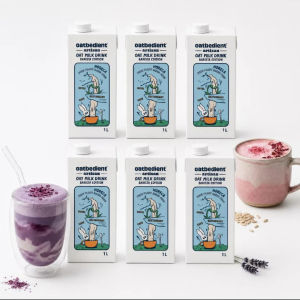 OATBEDIENT White Artisan Oat Milk 12L Pack (12x 1L) | Plant-Based Vegan Milk for Coffee Tea Matcha & Cooking