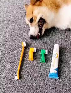PETWELL Pet Toothbrush Set with Edible Toothpaste for Dogs and Cats - Vanilla or Beef Flavor