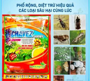 chavez 600wp 25gam 100gam diệt Rầy Cánh Trắng Bọ Trĩ Rầy Xanh Rệp sáp Rệp muội rệp vảy muỗi hành ( Acetamiprid Buprofezin Fenobucard)