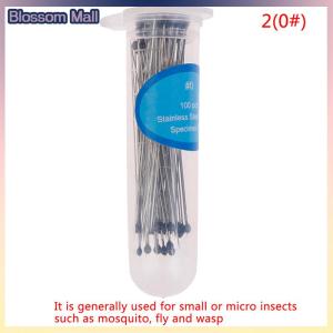 [Blossom] 100Pcs Insect Pins Specimen Needle Stainless Steel for School Lab Entomology