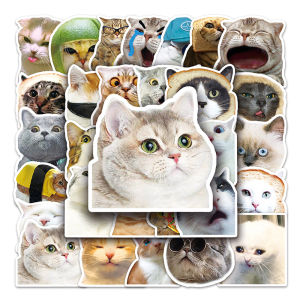 50pcs Funny Animal Cat Meme Stickers Cute Cartoon Graffiti Decals PVC Waterproof Sticker