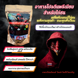 เซียนไก่เวย์เวย์โปรตีนไก่ชน วิ่งอึด วิ่งทน เสริมกล้ามเนื้อ เสริมกระดูก หน้าแดง เดือย เล็บ GOLDEN PROTEIN