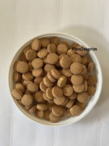 Iodine Tablet Disinfectant for Pond or Aquarium 25Tabs