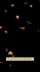 Car Phone Holder Mobile Phone Holder Stand Car Phone Stand For IPhone 15 Xiaomi Samsung In Car Air Vent Mount