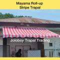 (8x8 feet) ROLL-UP STRIPES AWNING TRAPAL LONA TOLDA TARPAULIN TARP. 