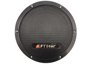 Original Megapro Speaker Size 10  FT-10W (1 PC Only) 250 Watts (Black) (woofer)
