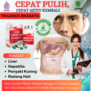 Obat LIVER PENYAKIT KUNING  Hepatitis A B C - Obat Penyakit Kuning LIBAVER BHARATA Original 100%