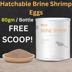 Yee Instant Baby Brine Shrimp Feed Nutrient Rich Aquarium Fish Food Rapid Growth Fish Fry Protein Nutrition Boost Growth