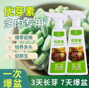 U-ROOT KHAS UNTUK TUMBUHAN SUCULENT500ml/SUCCULENTS FERTILIZER 500ml/八个老头多肉专用优芽素500ml