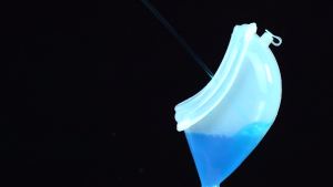 Wearable Urine Collector with Reusable Silicone Collection Unit with Breathable Fixative Pant with Two Urinary Drainage Bags 2000ml 1000ml with 1.2m Catheter and Soft Edge Elderly Men Blue